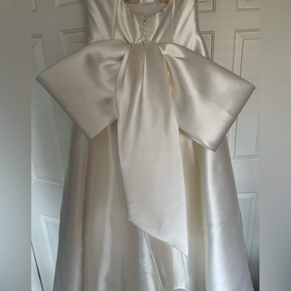 Pronovias Atelier Wedding Dress - Picture 3 of 6